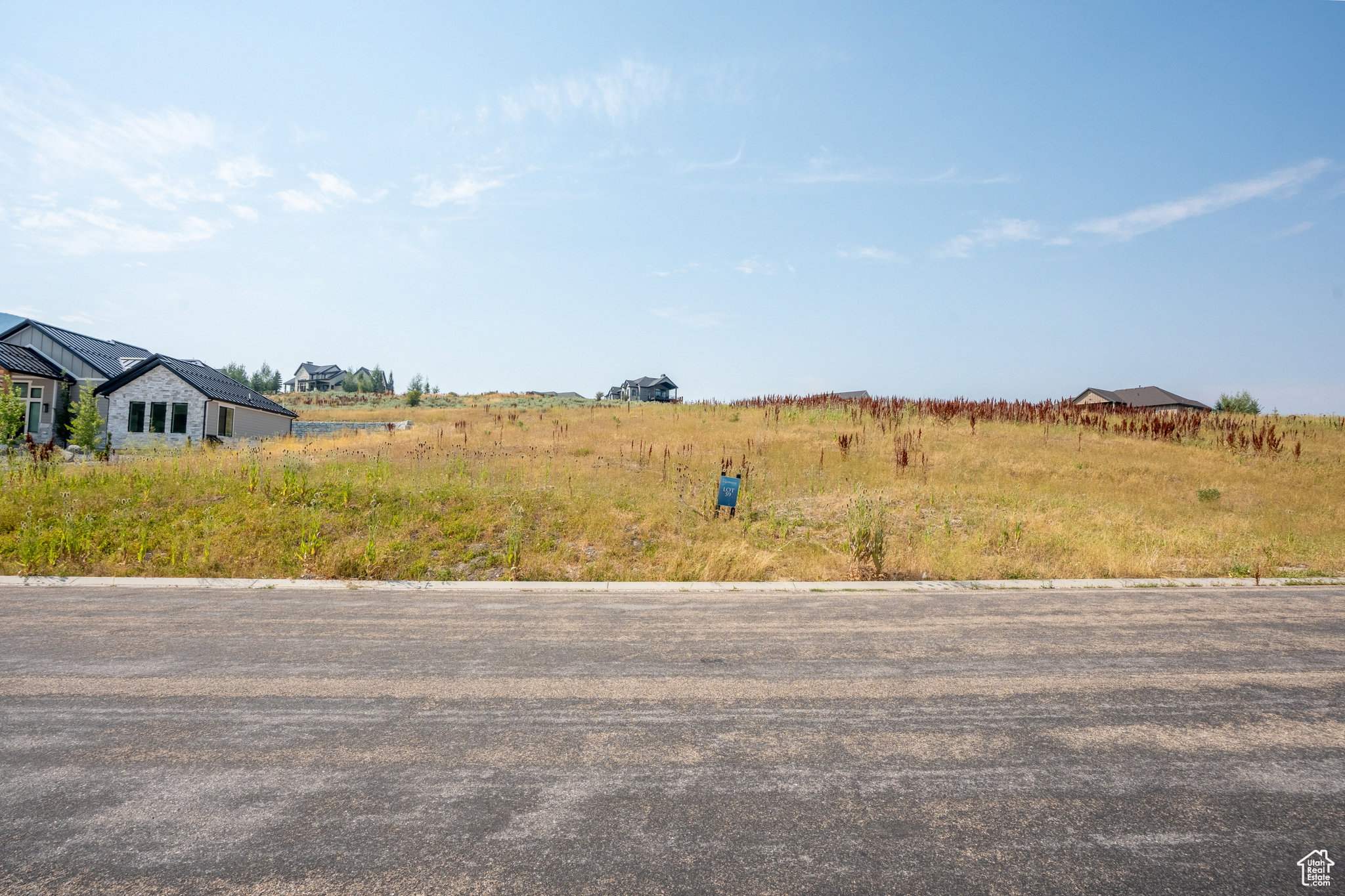 Expansive undeveloped lot featuring natural vegetation, a gentle slope, and roadside access