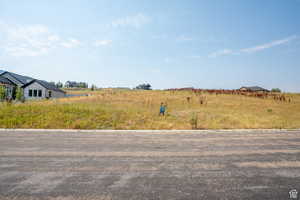 Expansive undeveloped lot featuring natural vegetation, a gentle slope, and roadside access