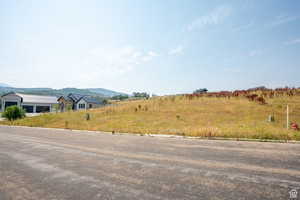 Expansive vacant land offering development opportunity, featuring a gentle upward slope and natural vegetation