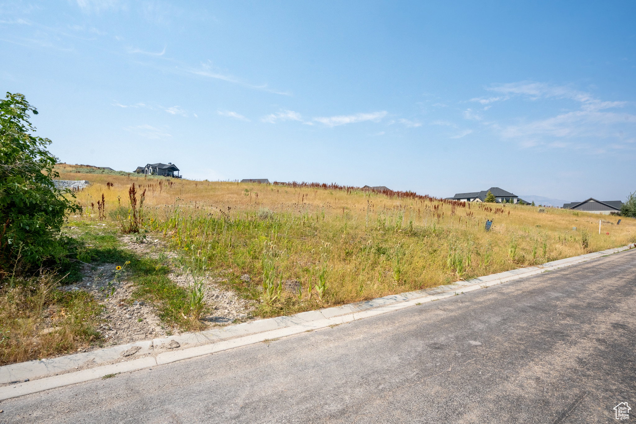 Expansive undeveloped lot with existing road frontage and curb