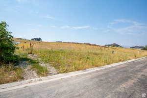 Expansive undeveloped lot with existing road frontage and curb