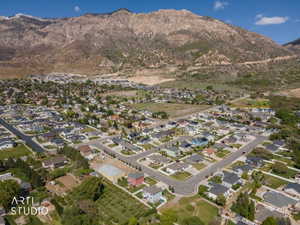 Residential community featuring varied architectural styles and mature landscaping