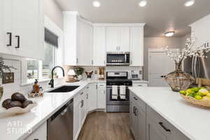 Contemporary kitchen featuring white shaker cabinetry, stainless steel appliances, a black sink, and wood-finish flooring