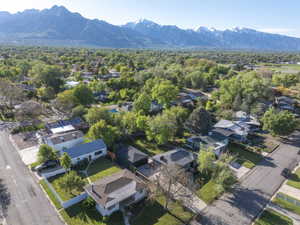Aerial perspective showcasing a residential neighborhood with mature trees