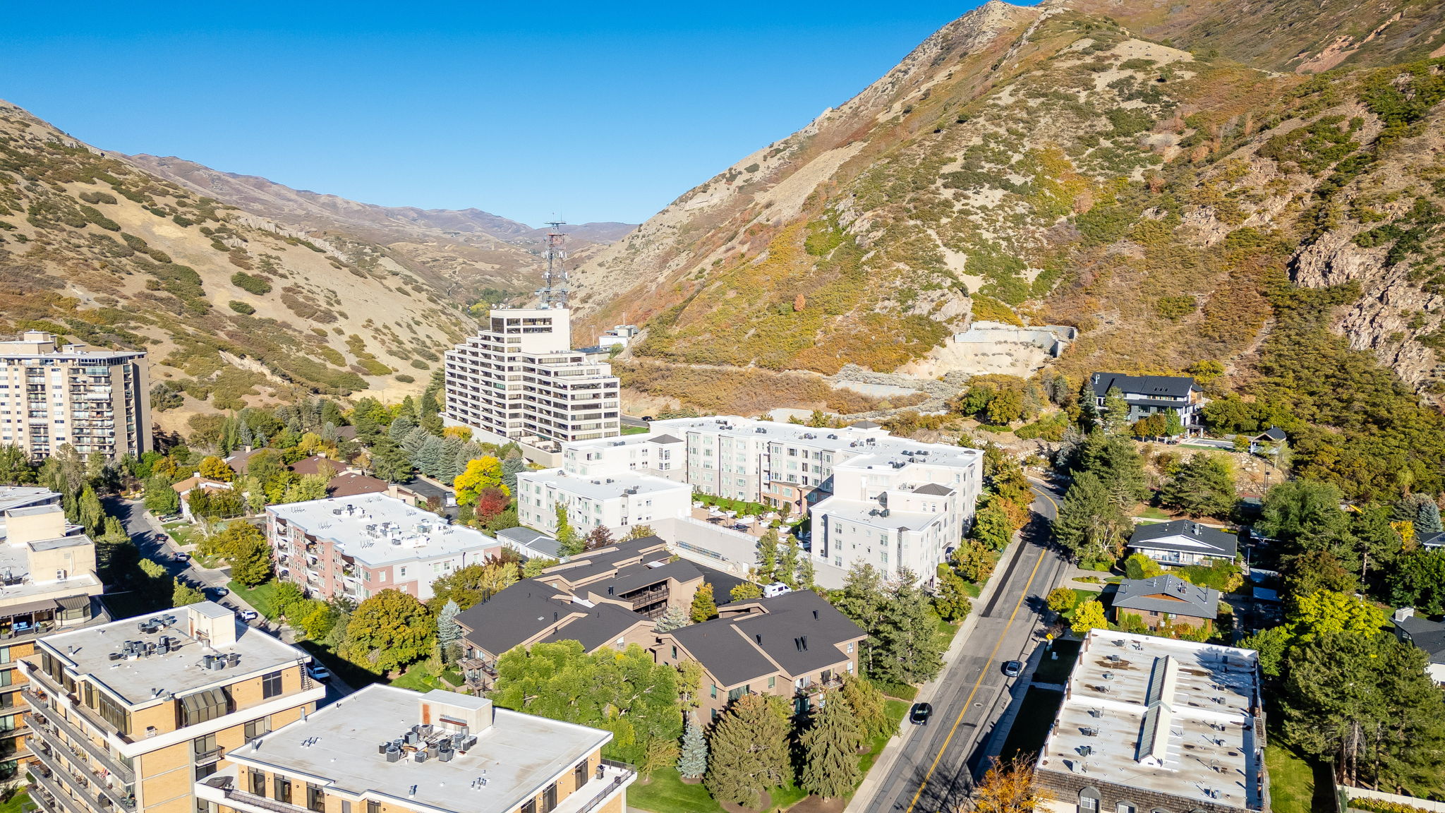 Aerial perspective showcasing multiple residential buildings surrounded by mature trees against a mountain backdrop
