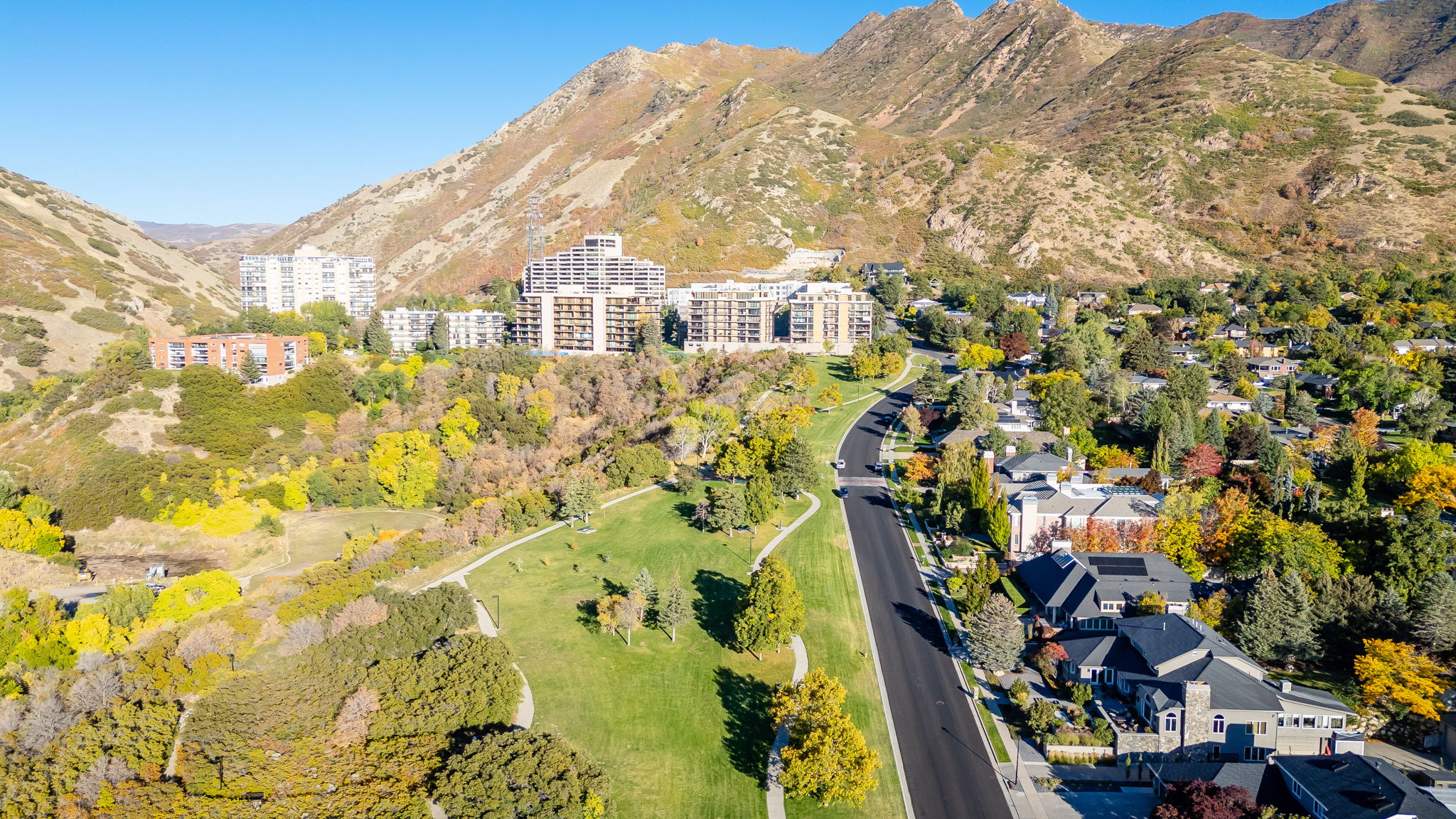 Aerial panorama showcasing a residential street bordered by mature trees and manicured green spaces