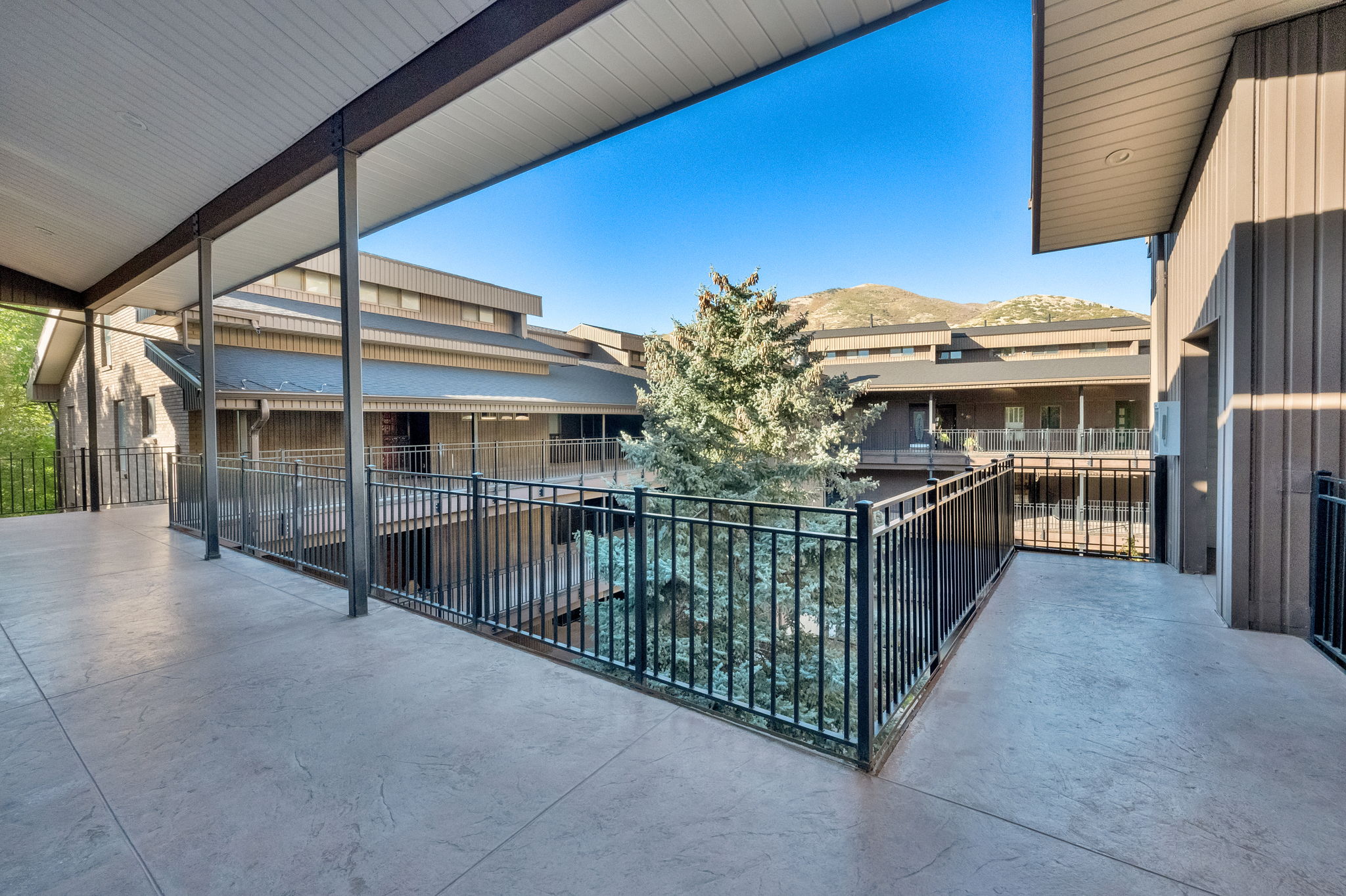Expansive covered walkway featuring stamped concrete flooring, black metal railings, and a prominent evergreen tree at its center