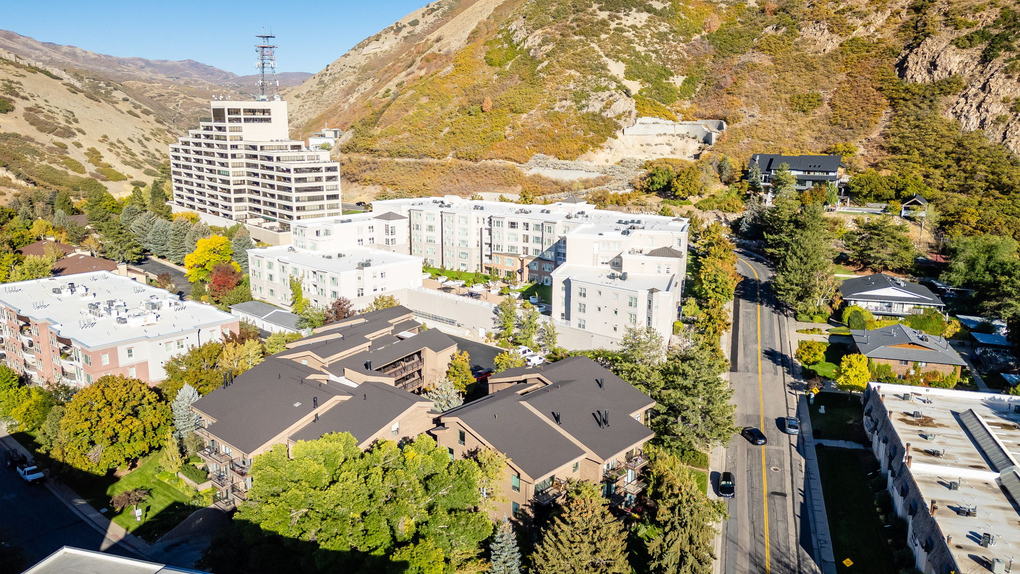 Dense urban setting featuring a mix of multi-story buildings, mature trees, and mountainous terrain in the background