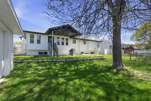 Expansive green lawn with a mature tree