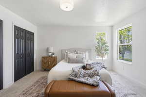 Bright interior space featuring light-colored walls, carpeted flooring, and a flush-mount ceiling light