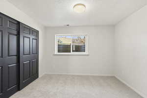 Carpeted room featuring a window, built-in closet with dark paneled doors, and a ceiling-mounted light fixture