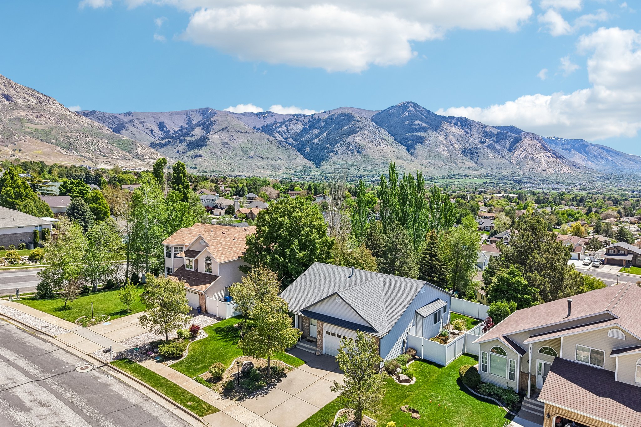 Aerial perspective showcasing a residential street with verdant landscaping and established homes