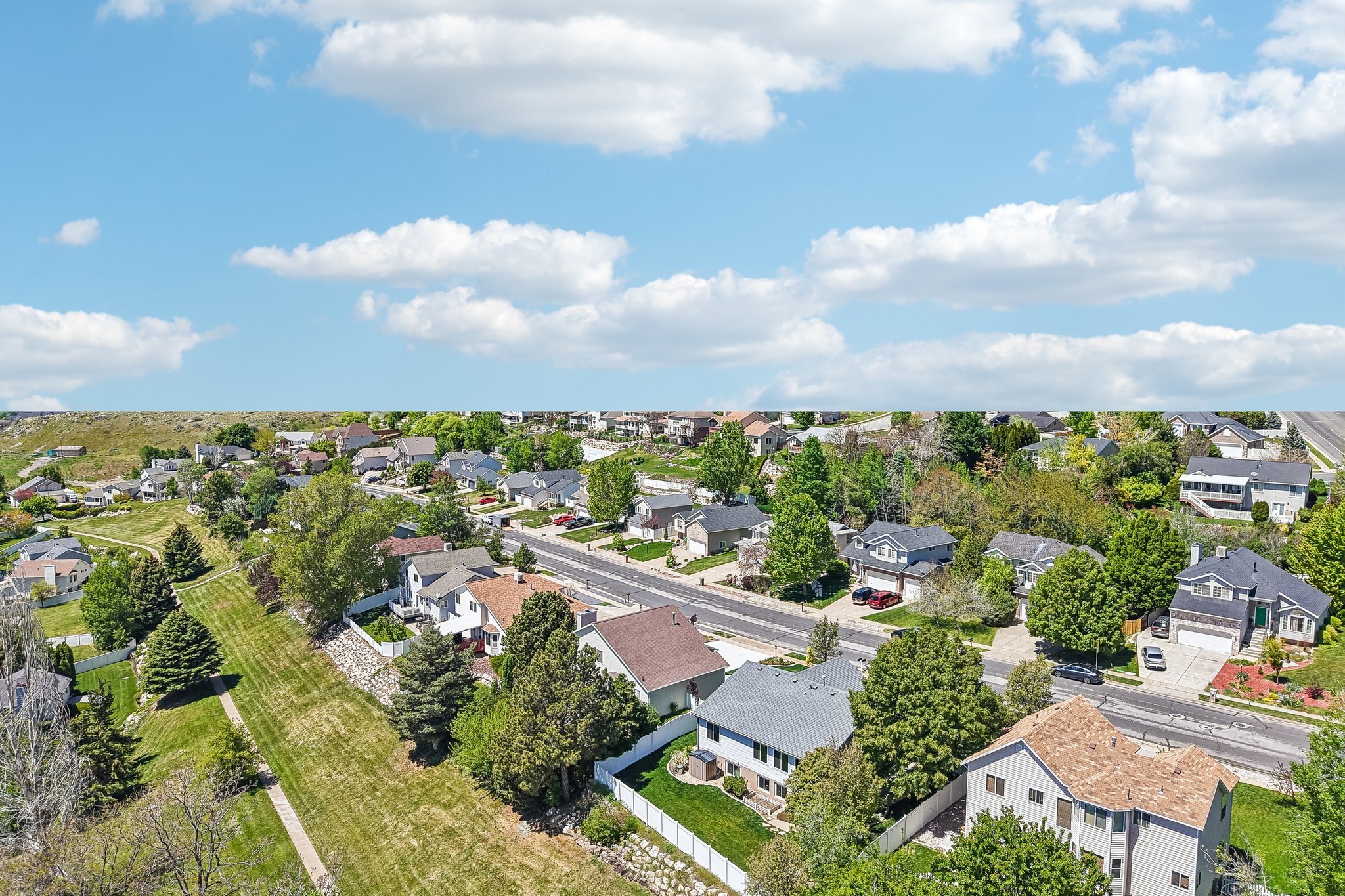 Residential neighborhood featuring varied architectural styles and mature trees