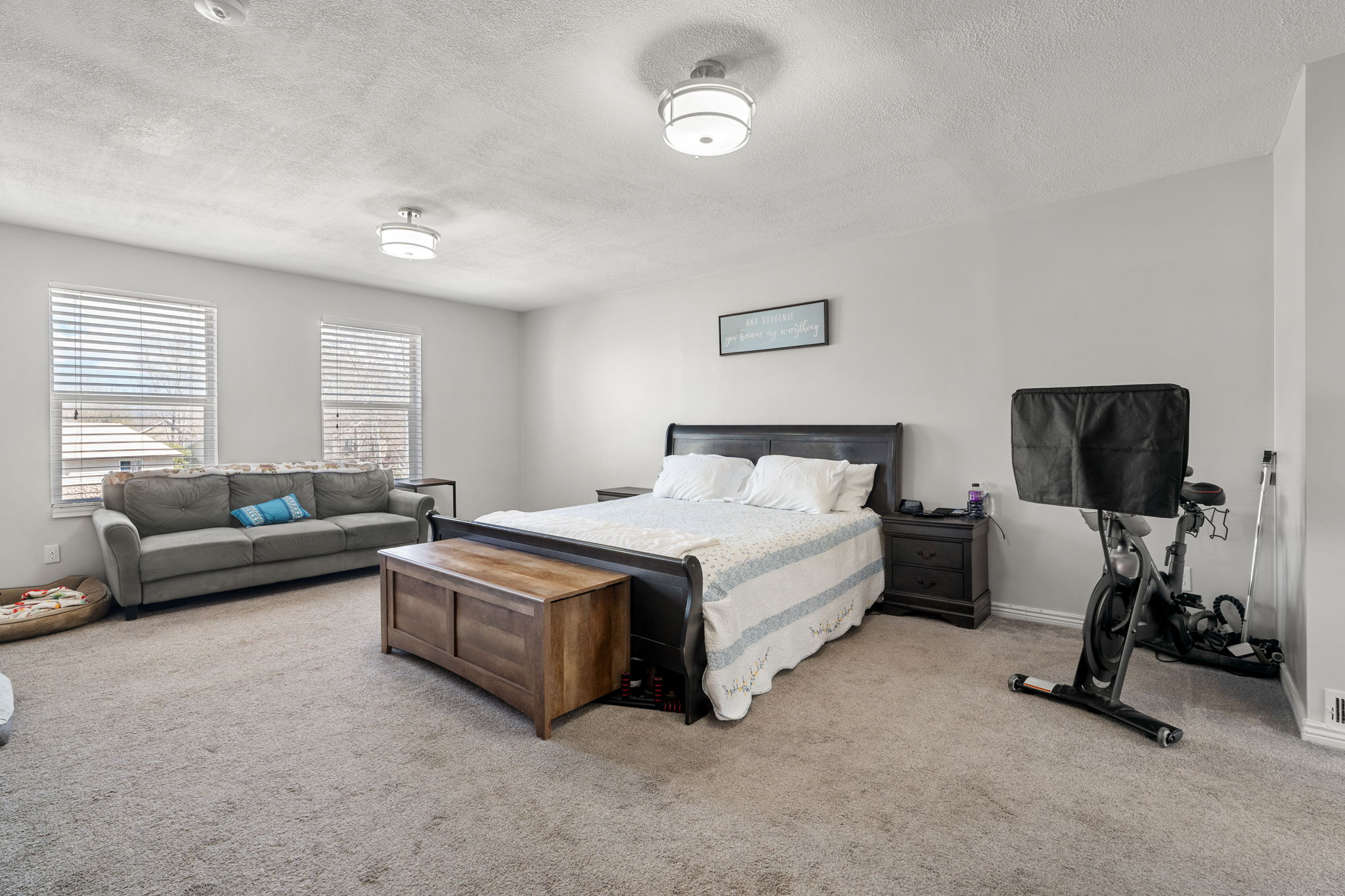 Carpeted room featuring two windows with blinds, a dark wood-finish bed frame, two flush-mount ceiling lights, and light gray walls
