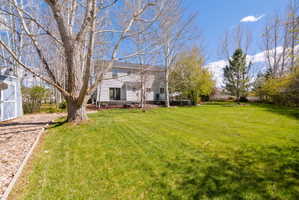 Spacious backyard featuring a large grassy area, mature trees, and a light gray shed