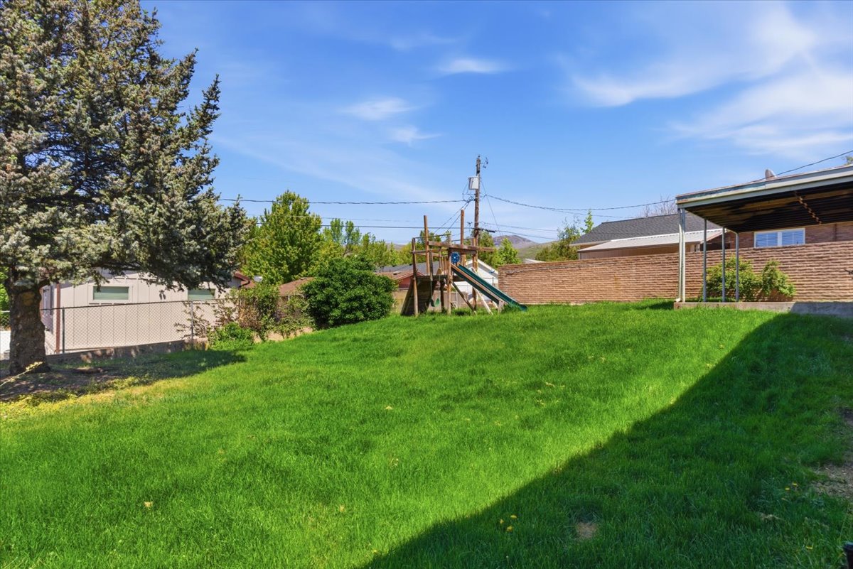 Expansive backyard featuring a large grassy area, a mature evergreen tree, and a covered patio structure