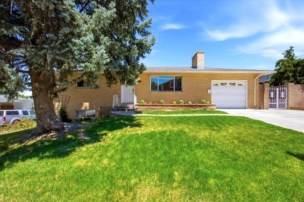 Brick exterior with a prominent front lawn, a mature evergreen tree, an attached garage, a front entry with steps, and a decorative garden bed