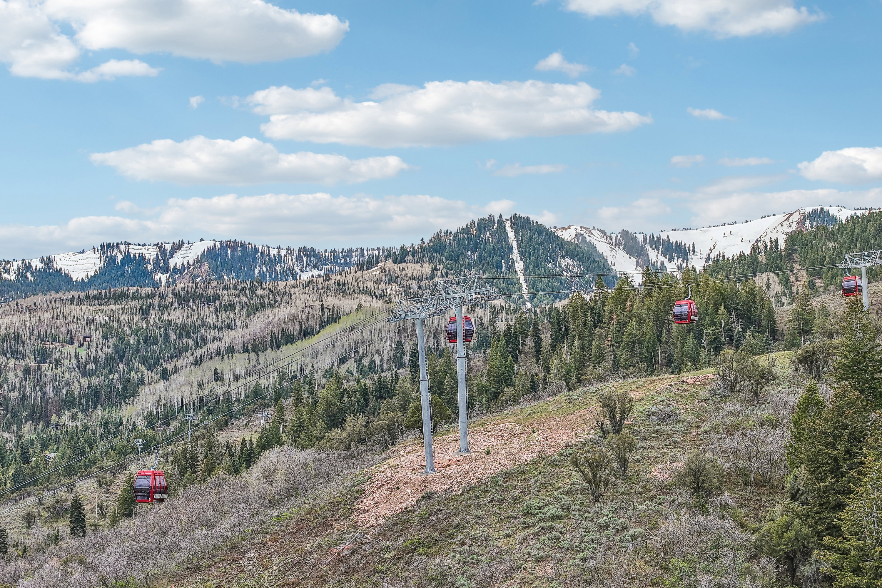 Mountain landscape featuring snow-capped peaks, dense evergreen forests, and a gondola system with red cabins
