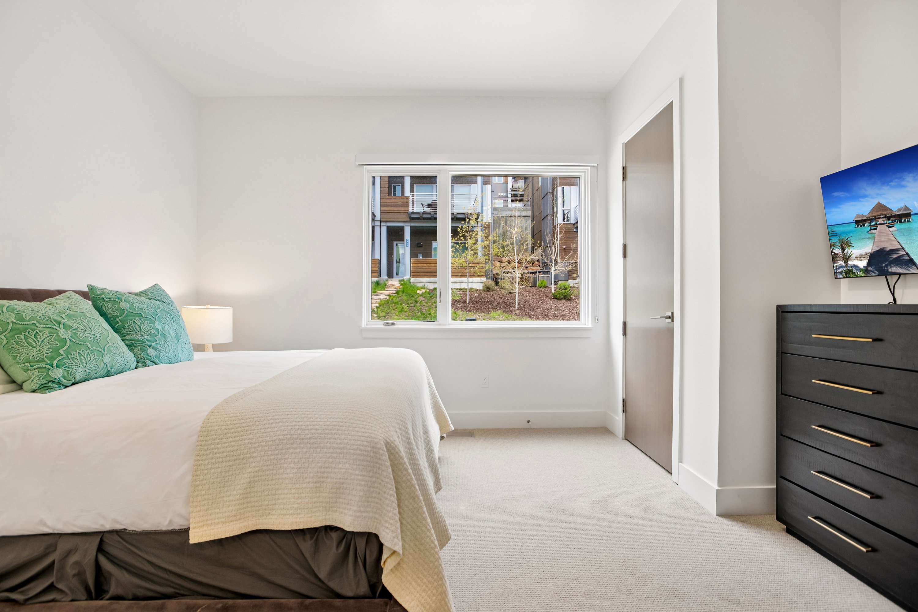 Room featuring a large window, light-colored carpeting, white walls, and a modern flat-panel door