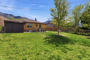 Spacious backyard featuring a sloped lawn and mature trees