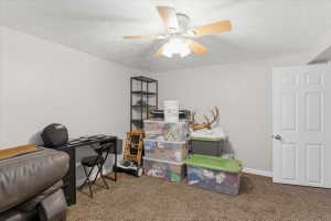 Carpeted room featuring a ceiling fan, light gray wall paint, and a six-panel interior door