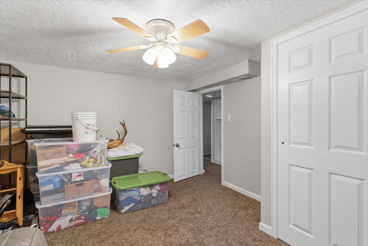 Carpeted room with a ceiling fan, white paneled doors, and light gray walls