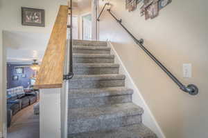Carpeted staircase with industrial-style pipe handrails and a wood-finish banister