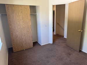 Carpeted interior room with a closet featuring wood-finish sliding doors and a metal hanging rod