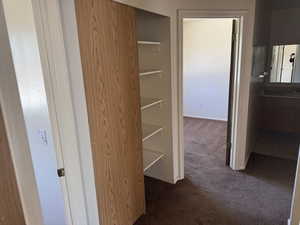 Hallway featuring wood-finish bi-fold closet doors with interior shelving, leading to carpeted room and tiled bathroom with vanity