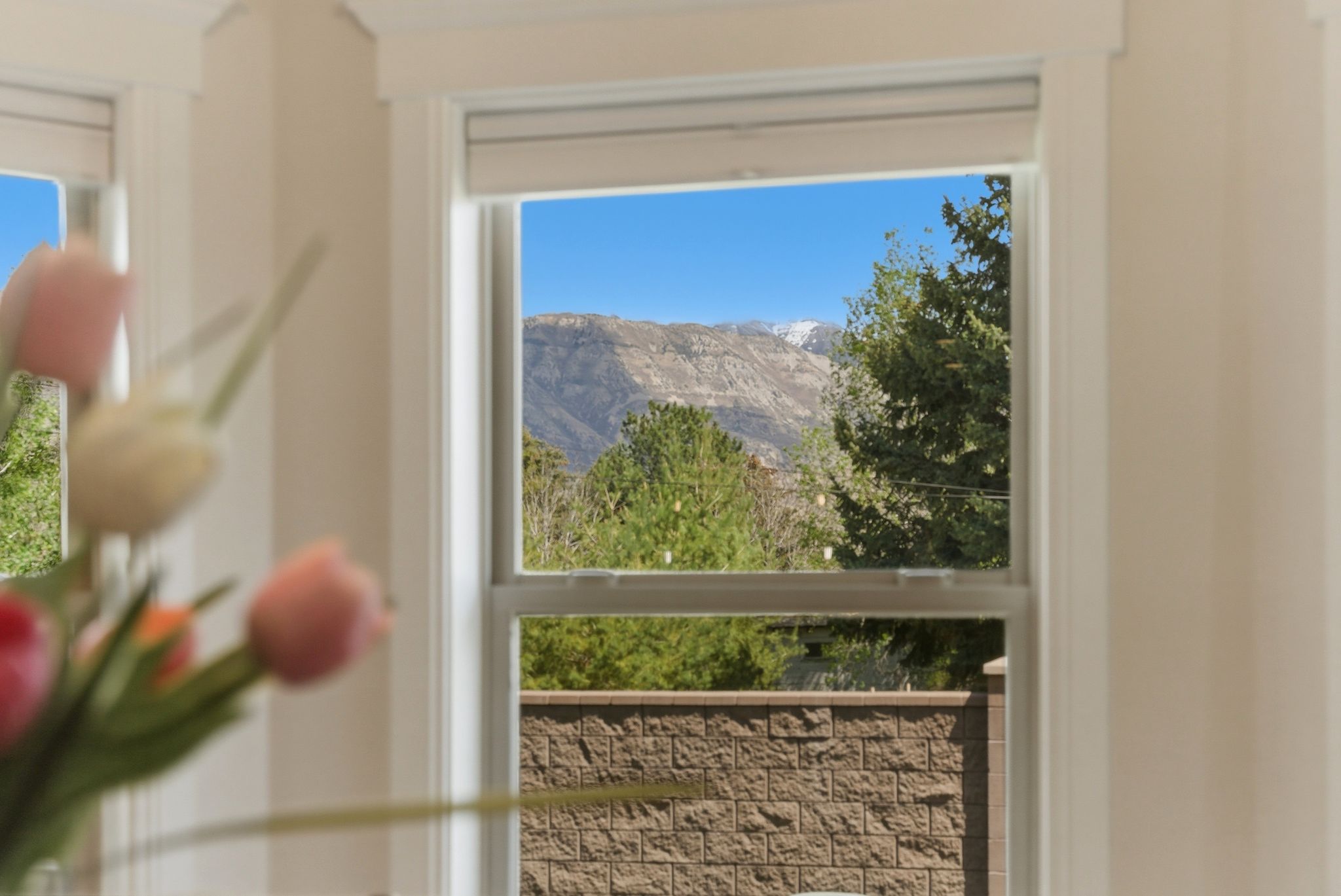 Detailed view of a mountain backdrop