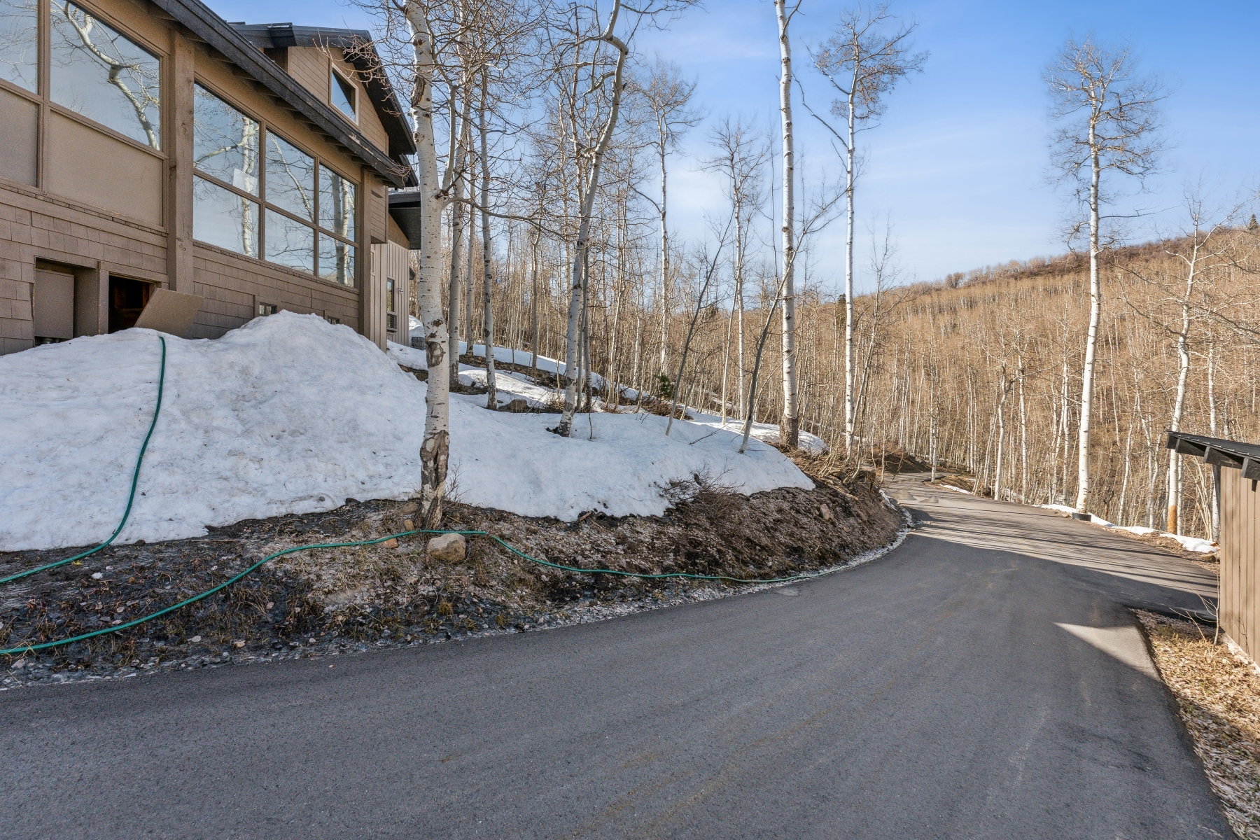 Asphalt driveway with a natural treeline backdrop, featuring a multi-story exterior with large windows and a partial retaining wall