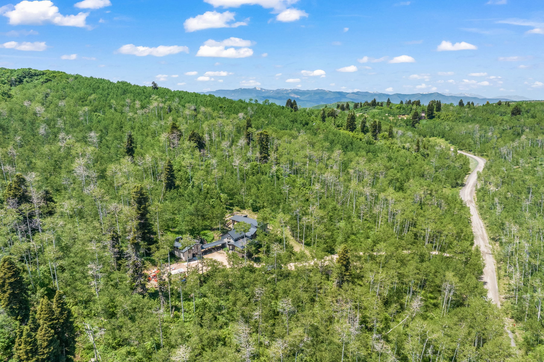 Sprawling woodland property with extensive tree coverage and a gravel drive
