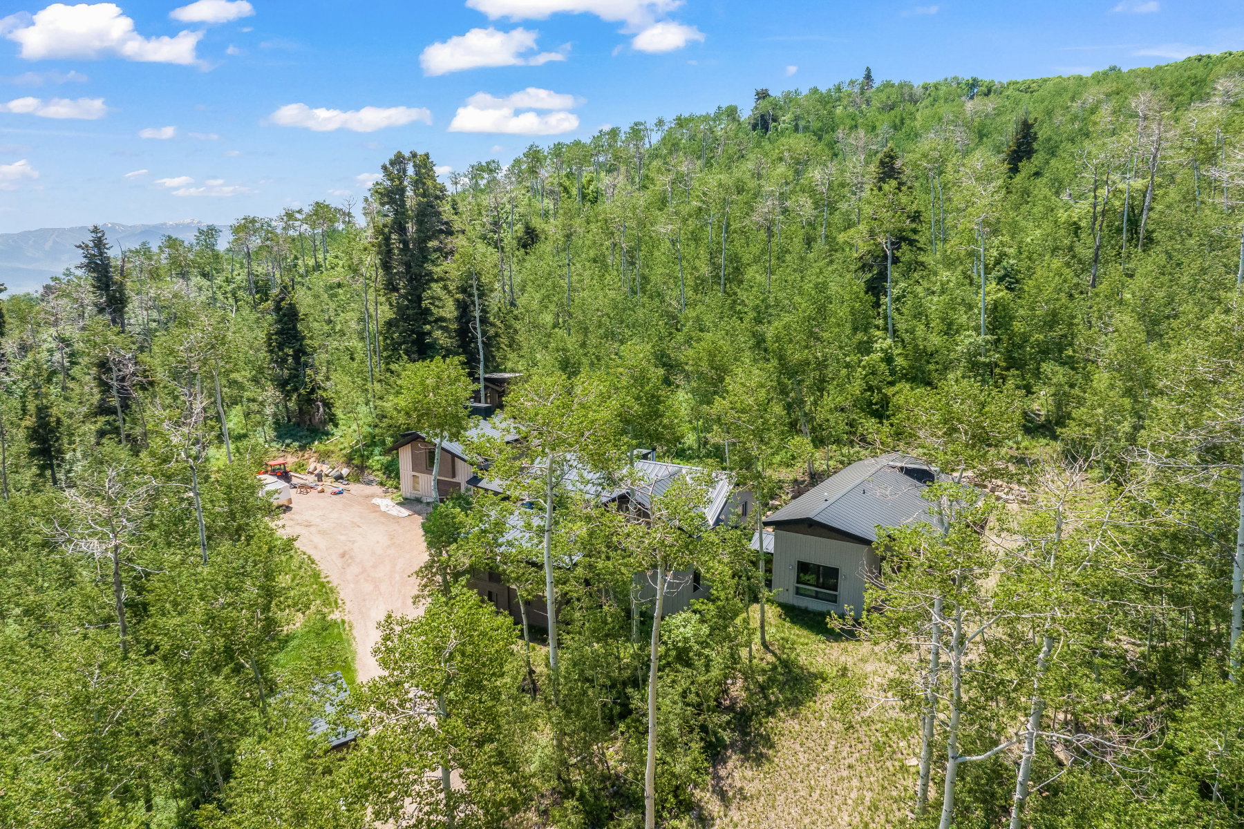 Secluded property surrounded by dense forest, featuring two distinct structures with dark roofs