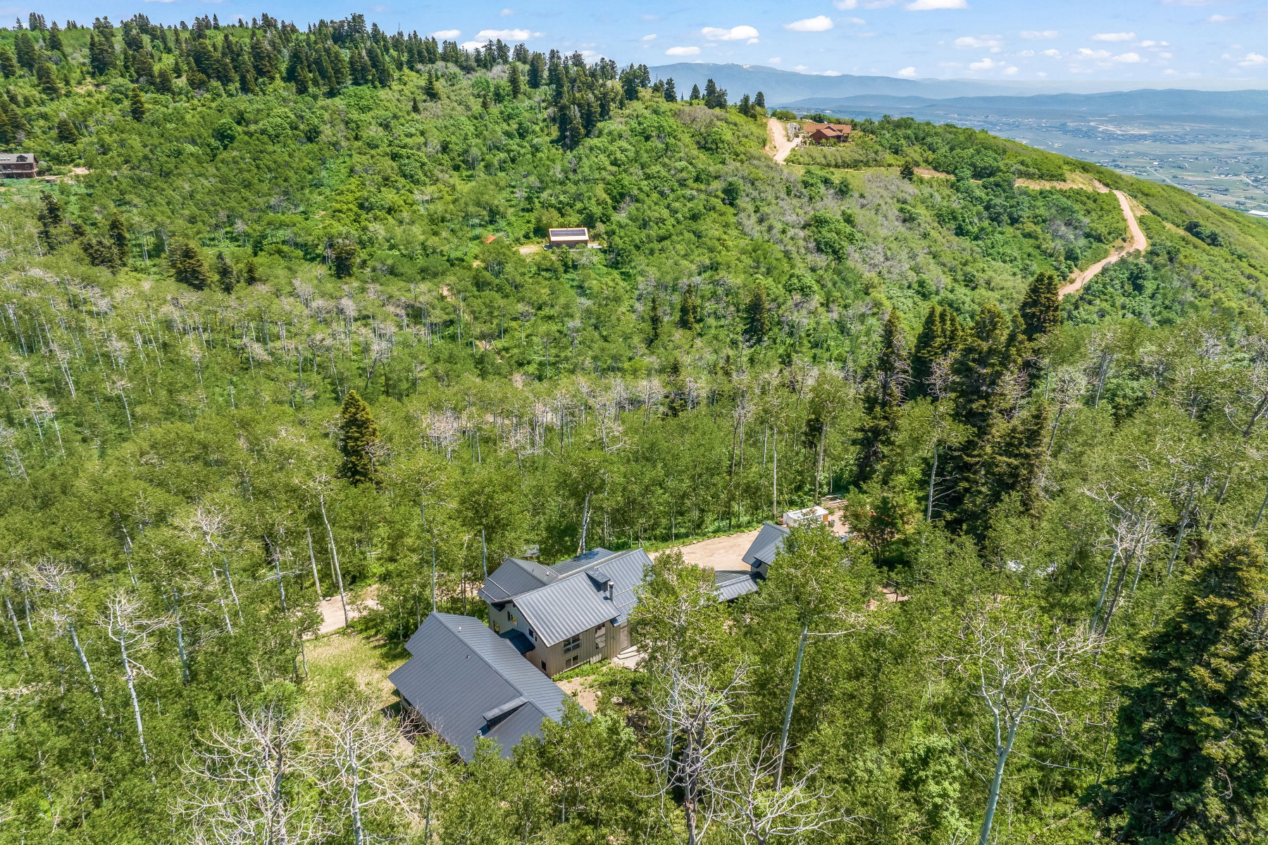 Modern residential structure nestled among abundant mature trees, featuring multiple dark-colored metal roofs