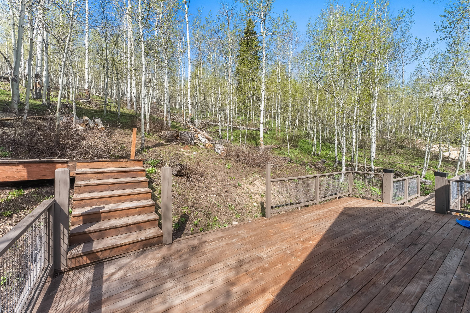 Wood deck with slatted stairs, wire mesh railing, and a mature tree backdrop