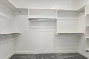 Master Closet