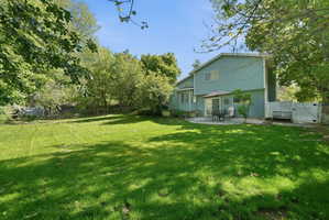 Expansive green lawn with mature trees and a rear patio
