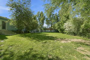 Expansive lawn area featuring mature trees and established perimeter shrubbery