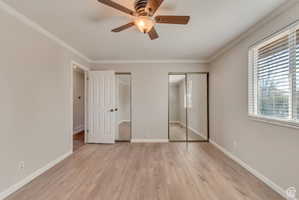 Unfurnished bedroom with two closets, light wood finished floors, a ceiling fan, and ornamental molding