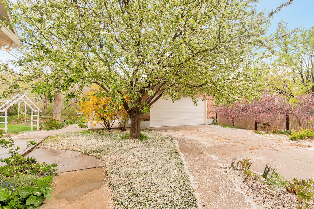 Front exterior featuring a large flowering tree, a concrete driveway, and an attached garage with a white door