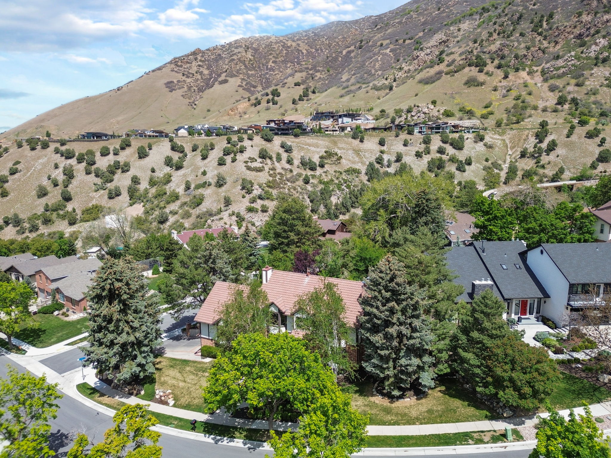 Aerial perspective highlighting a residential property with a terracotta-style roof and surrounding mature trees