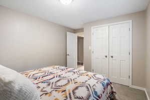 Room featuring light neutral wall paint, white trim, and textured carpeting