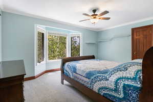 Bedroom 3. Bay window with wood-finish trim
