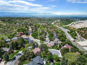Aerial perspective of a verdant residential area featuring mature trees and established homes