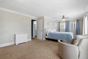 Carpeted room featuring a ceiling fan with light fixture, multiple windows, crown molding, and a visible doorway revealing a bathroom vanity with a mirror and lighting