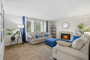 Living area featuring light-toned carpeting and neutral wall tones