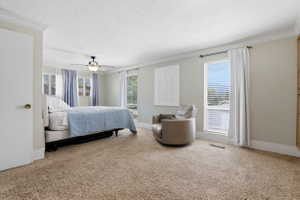 Carpeted bedroom featuring a ceiling fan with integrated lighting, multiple windows with blinds, crown molding, and baseboards