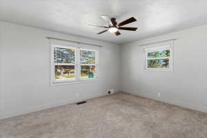 Bright interior bedroom featuring light gray walls, plush carpeting, and large windows with blinds