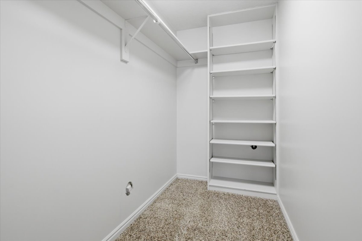 Walk-in closet featuring built-in shelving, white walls, light-toned carpet, and a clothes hanging rod