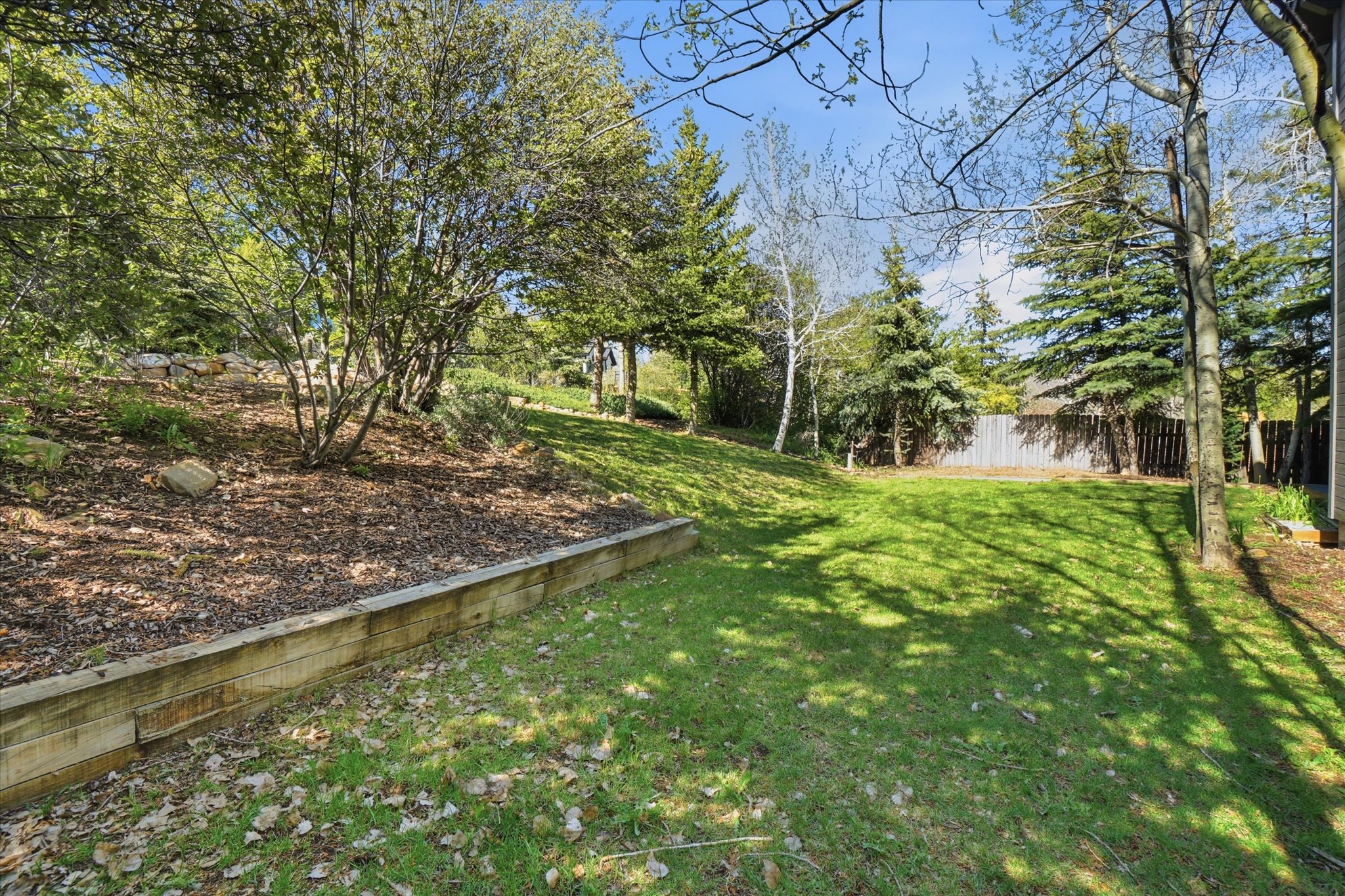 Spacious backyard featuring a manicured lawn and mature trees